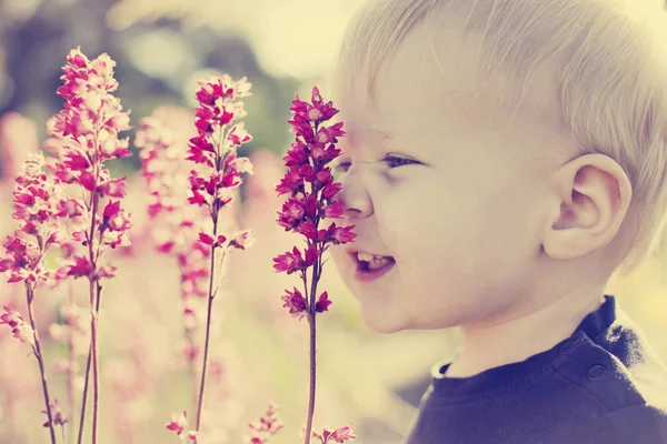 Sarışın Çocuk Yaz Aylarında Çiçeklenme Çayırda Ayakta — Stok fotoğraf