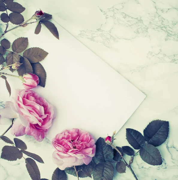 Cartão Branco Vazio Com Rosas Rosa — Fotografia de Stock