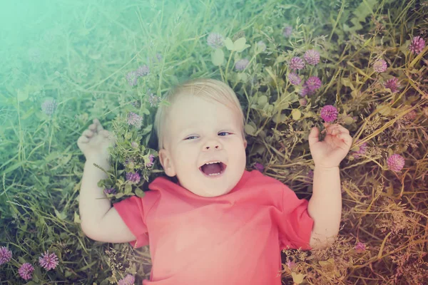 Kisgyermek Boldog Fiú Pihentető Nyári Réten Napos Park — Stock Fotó