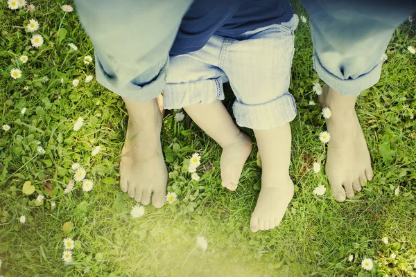 Gente Descalza Sobre Hierba Verde Con Flores Blancas —  Fotos de Stock