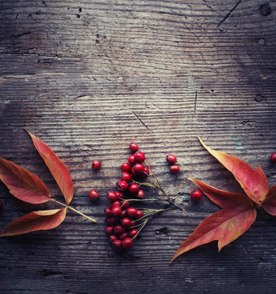 Bovenaanzicht Van Herfst Bladeren Met Bessen Geplaatst Houten Achtergrond — Stockfoto