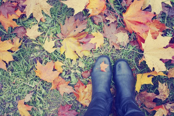 Imagen Recortada Persona Zapatos Pie Sobre Las Hojas Caídas Otoño — Foto de Stock