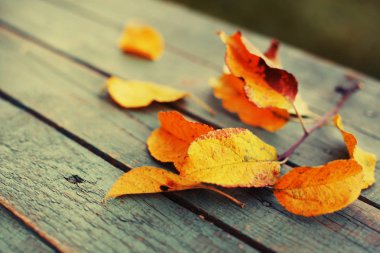 Sonbahar görünümünü closeup tahta masada bırakır
