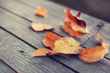 Sonbahar görünümünü closeup tahta masada bırakır