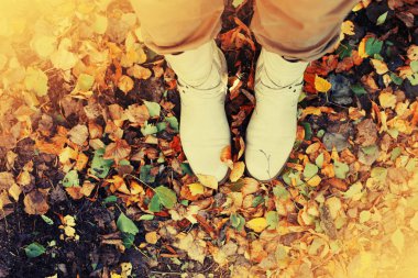 kişi Ayakkabı sonbahar düşen yapraklar üzerinde duran kırpılmış görüntü