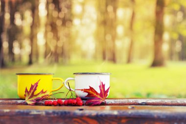 iki sıcak çay bardak closeup görünümünü sonbahar entourage ahşap tablo
