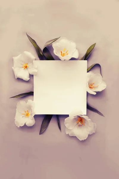 Vista Superior Flores Brancas Com Cartão Saudação — Fotografia de Stock