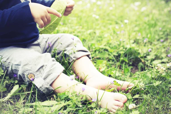 Bijgesneden Afbeelding Van Baby Voeten Zomer Gras Achtergrond — Stockfoto