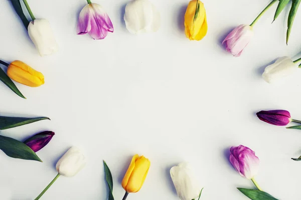 Bovenaanzicht Van Prachtige Kleurrijke Tulpen Witte Achtergrond — Stockfoto