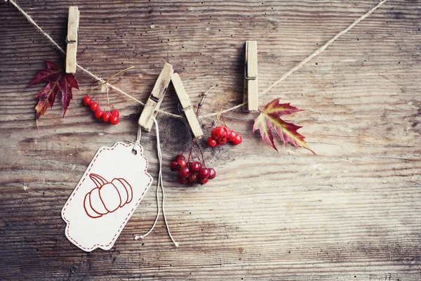 Thanksgiving Day Concept Wooden Background — Stock Photo, Image