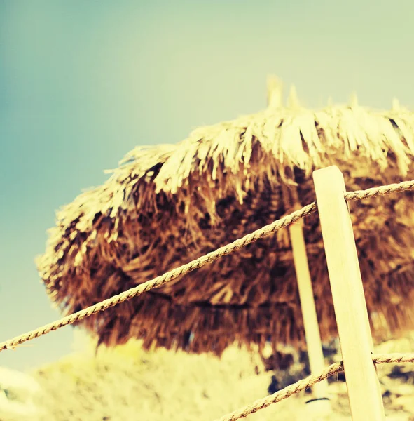 Piękny Widok Palmy Parasole Plaży — Zdjęcie stockowe