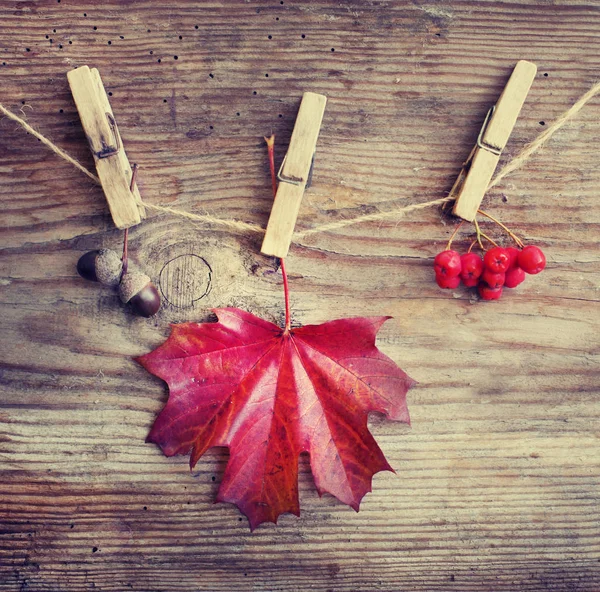 Thanksgiving Day Concept Wooden Background — Stock Photo, Image