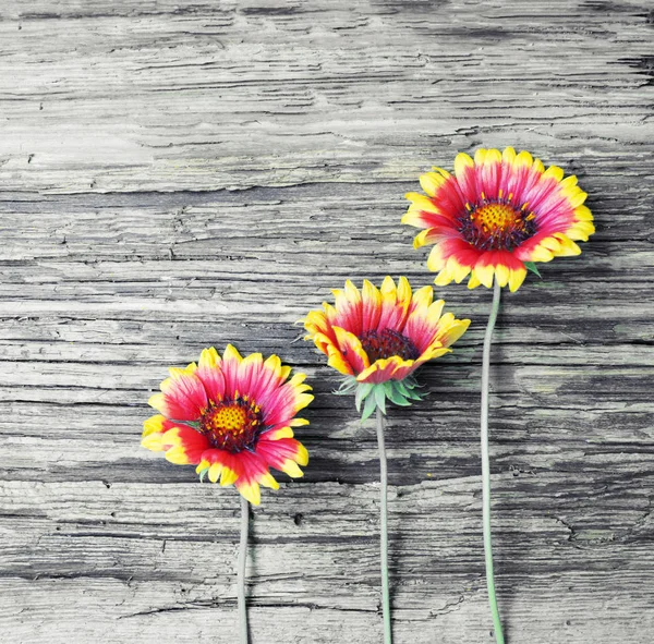 Blick Von Oben Auf Schöne Sonnenblumen Über Holzhintergrund — Stockfoto