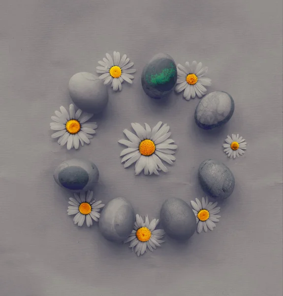 パステルとデイジーの花でカラフルなイースターの卵 — ストック写真