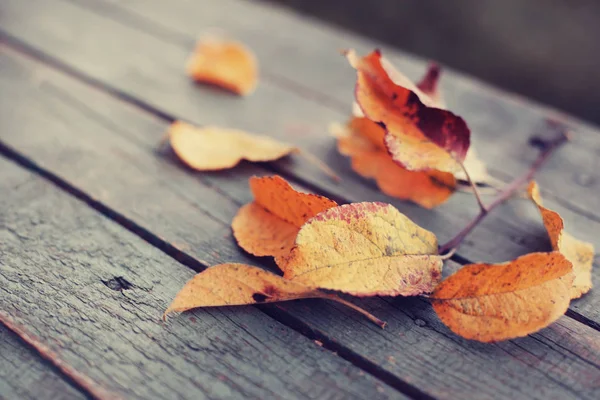 Nahaufnahme Von Herbstblättern Auf Holztisch — Stockfoto