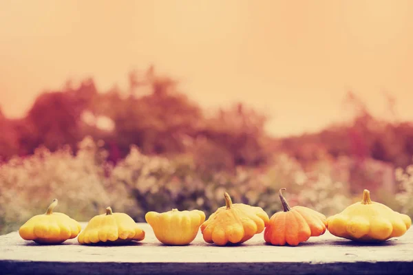 Kleine Oranje Pompoenen Houten Tafel — Stockfoto