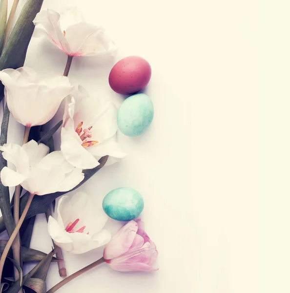 Suaves Tulipanes Blancos Con Huevos Multicolores Sobre Fondo Blanco — Foto de Stock