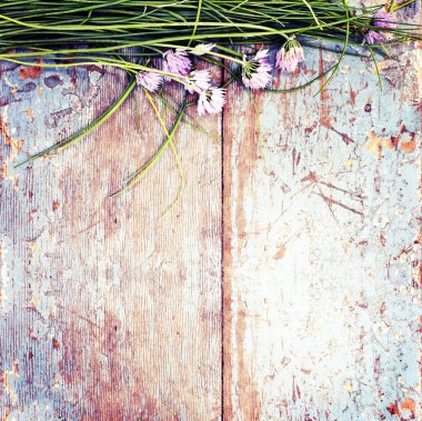 Yeşillik ve otlar ile inanılmaz çiçek açan çiçekler