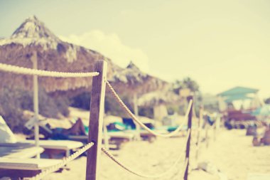 palm şemsiye plajda doğal görünümü