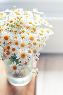 Renkli ve yumuşak buket papatya çiçek 