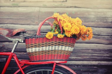 hasır sepet kırmızı retro bisiklet üzerinde sarı zemin çiçek 
