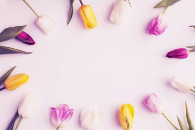 güzel renkli lale pembe bir arka plan üzerinde üstten görünüm