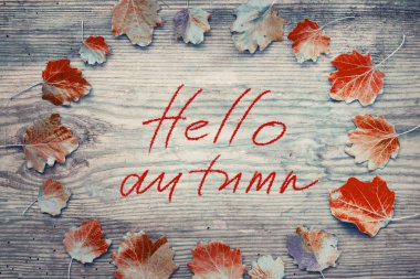 Şükran günü kavramı ahşap arka plan üzerinde