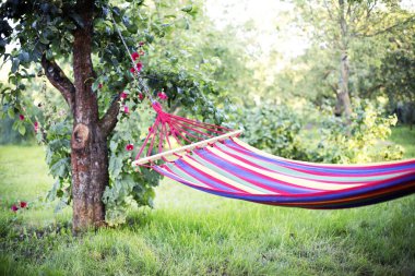 Yeşil Doğa arka plan üzerinde renkli çizgili hamak