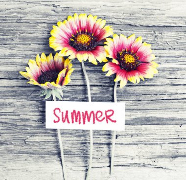 tebrik kartı ile ahşap arka plan üzerinde güzel ayçiçeği üstten görünüm