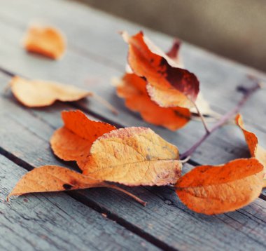 Sonbahar görünümünü closeup tahta masada bırakır