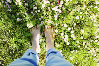 Ayaklarda papatya çiçekler ile çayır çim