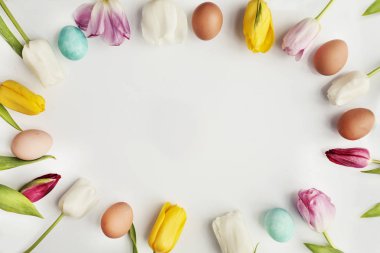 renkli Paskalya yumurtaları ve kopya alanı ile çerçeve hale lale üstten görünüm