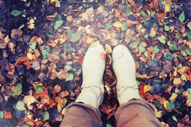 kişi Ayakkabı sonbahar düşen yapraklar üzerinde duran kırpılmış görüntü
