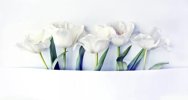 Ovanifrån Tulpan Blommor Bukett För Våren Och Påsken — Stockfoto