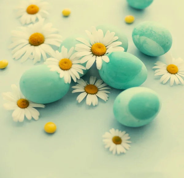 五颜六色的复活节彩蛋在白色背景雏菊花 — 图库照片
