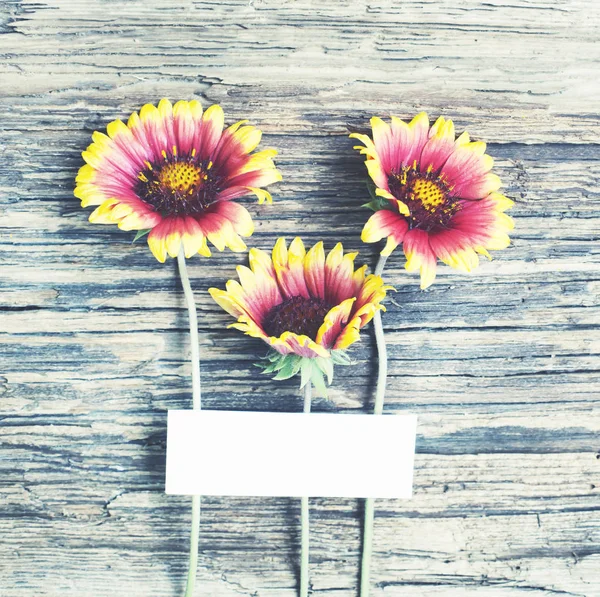 Draufsicht Auf Schöne Sonnenblumen Über Holzgrund Mit Grußkarte — Stockfoto
