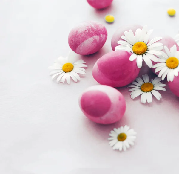 Uova Pasqua Colorate Con Fiori Margherita Sfondo Bianco — Foto Stock