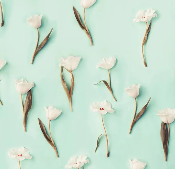 Detailní Pohled Krásná Nabídka Tulipány Pastelové Pozadí — Stock fotografie