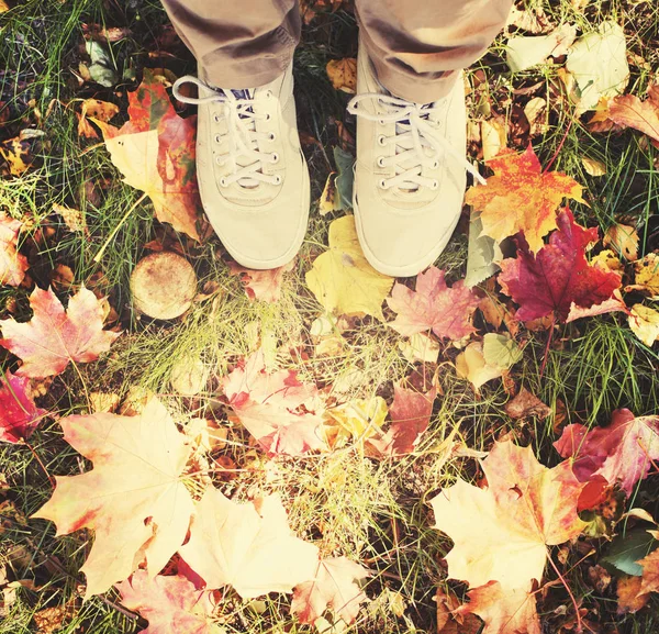 Imagen Recortada Persona Zapatos Pie Sobre Las Hojas Caídas Otoño — Foto de Stock