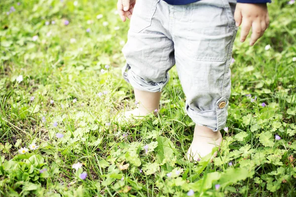 Bijgesneden Afbeelding Van Baby Voeten Zomer Gras Achtergrond — Stockfoto