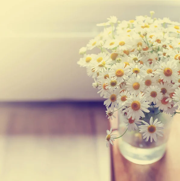 Renkli Yumuşak Buket Papatya Çiçek — Stok fotoğraf