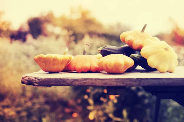 Petites Citrouilles Orange Sur Table Bois — Photo