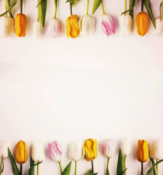 Вид Сверху Красивых Красочных Тюльпанов Белом Фоне — стоковое фото