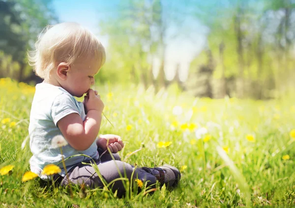 Маленький Хлопчик Сидить Літній Луговій Траві Сонячному Парку — стокове фото