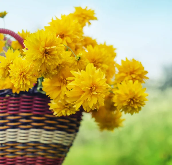Leuchtend Gelbe Chrysanthemen Korb Freien — Stockfoto