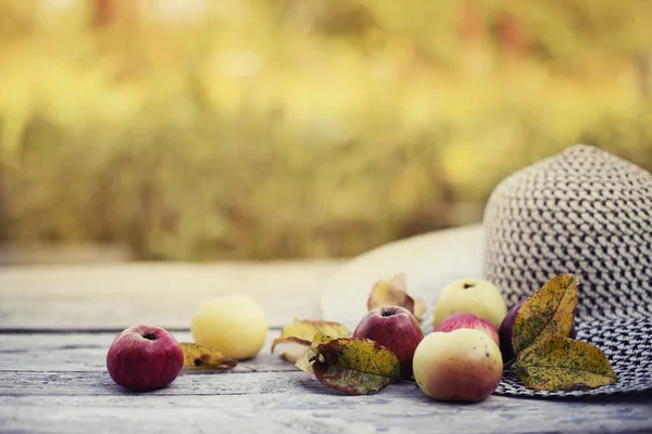 Sombrero Femenino Con Manzanas Sobre Fondo Naturaleza Borrosa —  Fotos de Stock