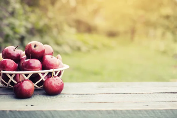 Ολόκληρα Κόκκινα Μήλα Στο Καλάθι Στο Ξύλινο Τραπέζι Στον Κήπο — Φωτογραφία Αρχείου