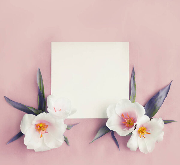 White flowers with copy space on pink background