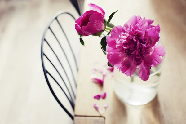 Gros Plan Des Pivoines Rose Vif Dans Vase — Photo