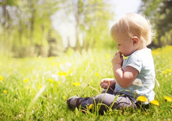 Маленький Хлопчик Сидить Літній Луговій Траві Сонячному Парку — стокове фото
